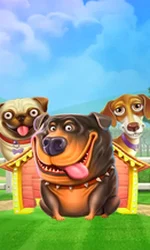 The Dog House